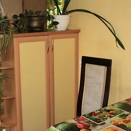 Guest house Lesny Domek *